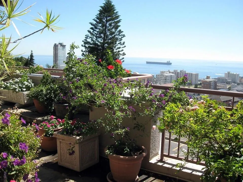 123 Ocean View Drive Apartment location
